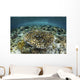 Whitetail Damselfish Swim over Wall Decal