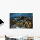 Beautiful Reef Full Soft Close-up Wall Decal