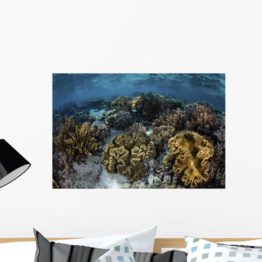 Beautiful Reef Full Soft Close-up Wall Decal