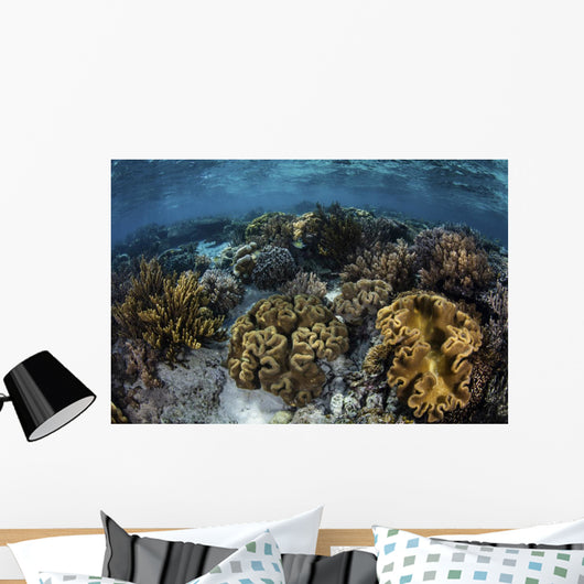 Beautiful Reef Full Soft Close-up Wall Decal