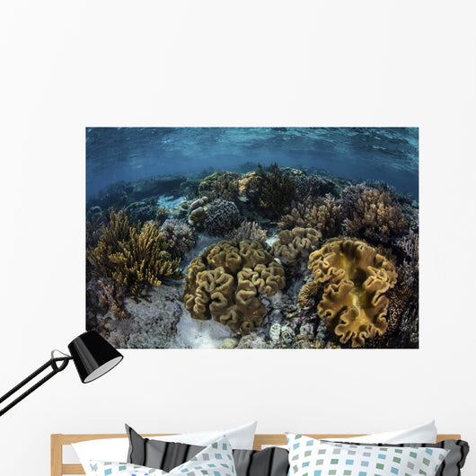 Beautiful Reef Full Soft Close-up Wall Decal