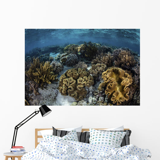 Beautiful Reef Full Soft Close-up Wall Decal