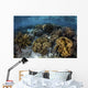 Beautiful Reef Full Soft Close-up Wall Decal