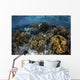 Beautiful Reef Full Soft Close-up Wall Decal