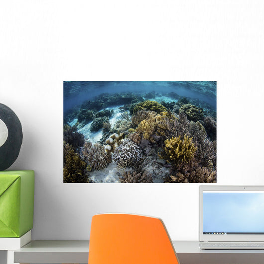 Beautiful Reef Full Soft Wall Decal