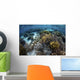 Beautiful Reef Full Soft Wall Decal