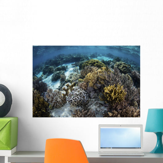 Beautiful Reef Full Soft Wall Decal