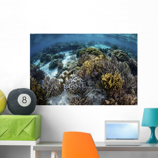 Beautiful Reef Full Soft Wall Decal