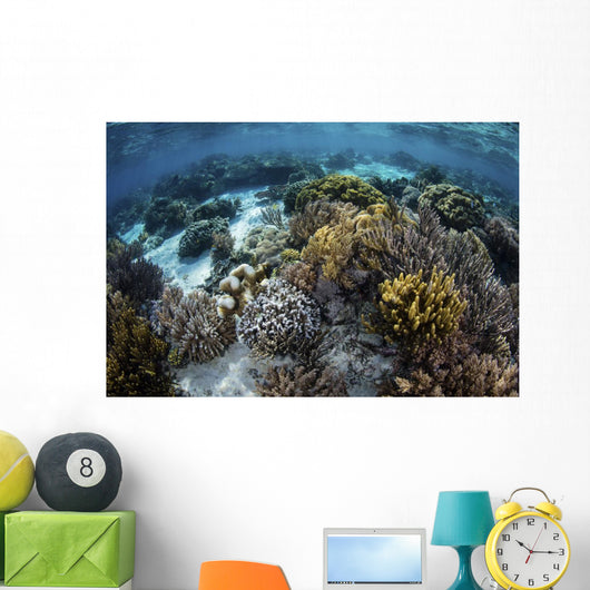 Beautiful Reef Full Soft Wall Decal