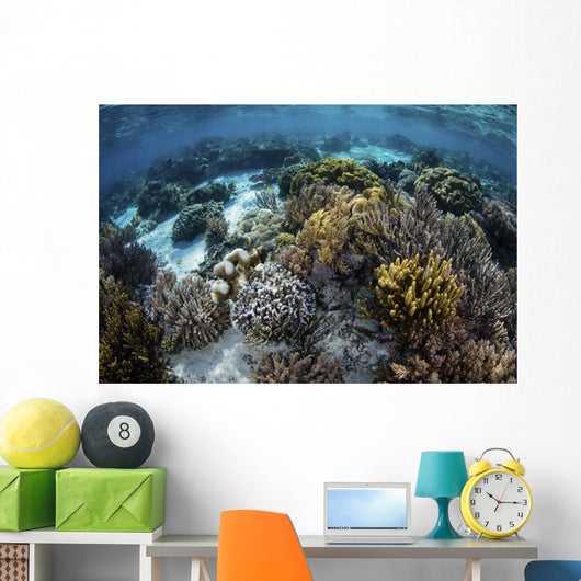 Beautiful Reef Full Soft Wall Decal