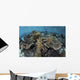 Beautiful and Fragile Coral with Diver Wall Decal