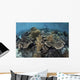 Beautiful and Fragile Coral with Diver Wall Decal