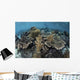 Beautiful and Fragile Coral with Diver Wall Decal
