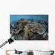 Beautiful and Fragile Coral with Diver Wall Decal