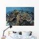 Beautiful and Fragile Coral with Diver Wall Decal
