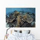 Beautiful and Fragile Coral with Diver Wall Decal