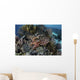 Broadclub Cuttlefish Hovers Swimming Wall Decal