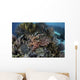 Broadclub Cuttlefish Hovers Swimming Wall Decal