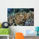 Broadclub Cuttlefish Hovers Resting Wall Decal