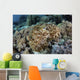 Broadclub Cuttlefish Hovers Resting Wall Decal