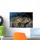 Broadclub Cuttlefish Hovers Close-up Wall Decal