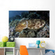 Broadclub Cuttlefish Hovers Close-up Wall Decal