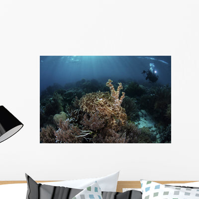 Broadclub Cuttlefish Hovers Horizontal Wall Decal shown on a wall