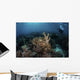Broadclub Cuttlefish Hovers Horizontal Wall Decal