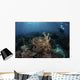 Broadclub Cuttlefish Hovers Horizontal Wall Decal