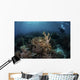 Broadclub Cuttlefish Hovers Horizontal Wall Decal