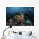 Broadclub Cuttlefish Hovers Horizontal Wall Decal