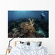 Broadclub Cuttlefish Hovers Horizontal Wall Decal