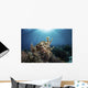 Broadclub Cuttlefish Hovers Sunbeams Wall Decal