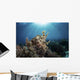 Broadclub Cuttlefish Hovers Sunbeams Wall Decal