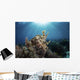 Broadclub Cuttlefish Hovers Sunbeams Wall Decal