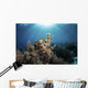 Broadclub Cuttlefish Hovers Sunbeams Wall Decal
