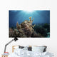 Broadclub Cuttlefish Hovers Sunbeams Wall Decal