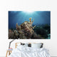 Broadclub Cuttlefish Hovers Sunbeams Wall Decal