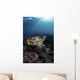 Broadclub Cuttlefish Hovers Vertical Wall Decal