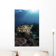 Broadclub Cuttlefish Hovers Vertical Wall Decal