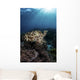 Broadclub Cuttlefish Hovers Vertical Wall Decal
