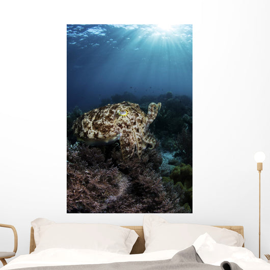 Broadclub Cuttlefish Hovers Vertical Wall Decal