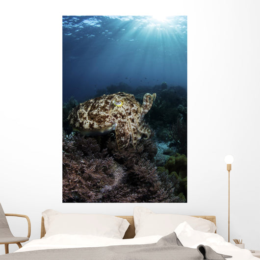 Broadclub Cuttlefish Hovers Vertical Wall Decal