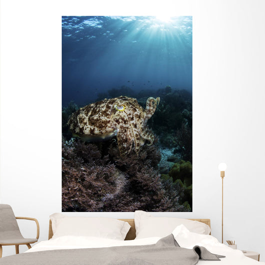 Broadclub Cuttlefish Hovers Vertical Wall Decal