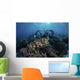 Broadclub Cuttlefish Hovers Diver Close-up Wall Decal