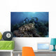 Broadclub Cuttlefish Hovers Diver Close-up Wall Decal