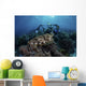 Broadclub Cuttlefish Hovers Diver Close-up Wall Decal