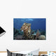 Broadclub Cuttlefish Hovers Open Water Wall Decal