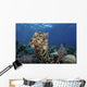Broadclub Cuttlefish Hovers Open Water Wall Decal