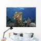 Broadclub Cuttlefish Hovers Open Water Wall Decal